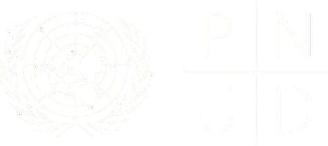 Logo Programa Naciones Unidas para el Desarrollo