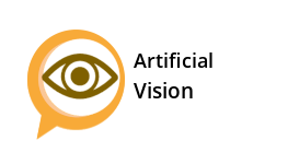 Artificial Vision
