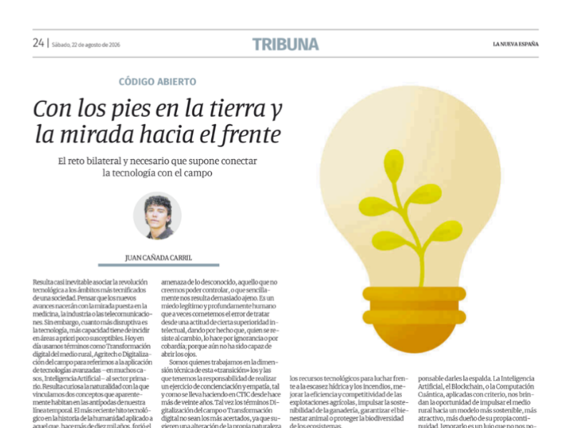 imagen decorativa