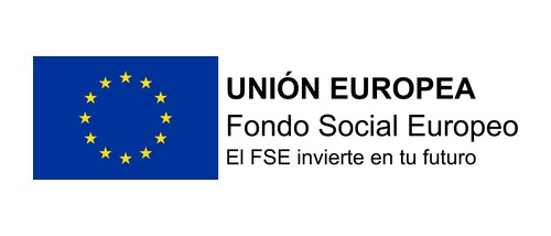 FSE (UE)