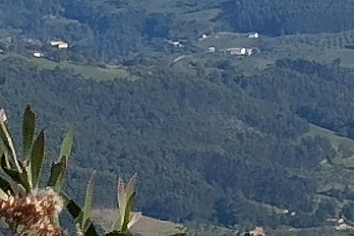 La Princesa de Asturias hace entrega del Premio al Pueblo Ejemplar al Valle de Arroes, Peón y Candanal 