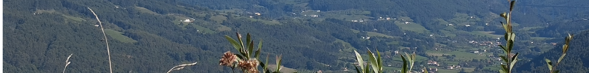 La Princesa de Asturias hace entrega del Premio al Pueblo Ejemplar al Valle de Arroes, Peón y Candanal 