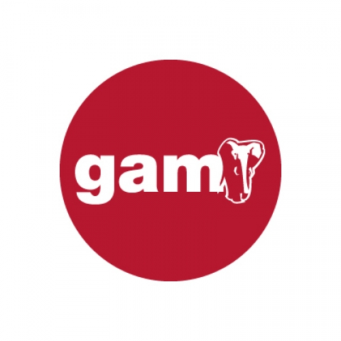 Logotipo de GAM