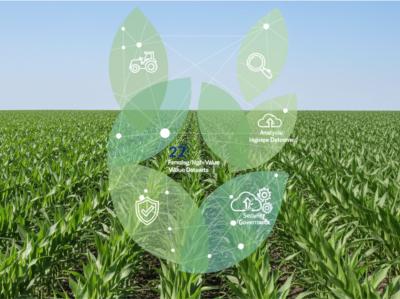 Imagen principal proyecto CEADS