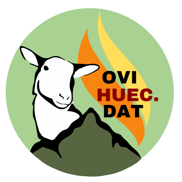 Logotipo proyecto OVIHUEC.DAT